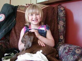 First Baby!!! - Goats