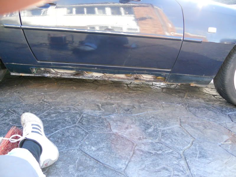 DSCN0805.jpg
