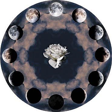 moon phases Pictures, Images and Photos