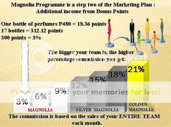 Marketing plan for perfume jadore by