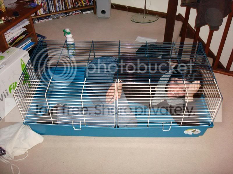 Picture6.jpg