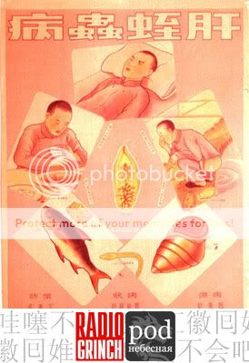 Обложка подкаста PODнебесная 2 - выпуск о китайской еде